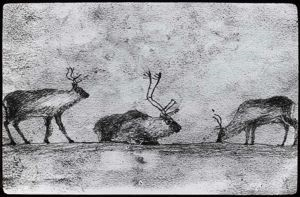 Image of Drawing of Reindeer